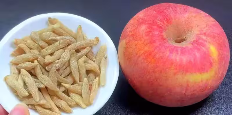 麥冬配蘋果，老一輩的養生智慧！成本5元煮一鍋，潤肺補氣，喝出好氣色