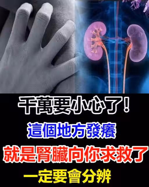 千萬要小心了！這個地方發癢，就是「腎臟」在向你求救了！一定要會分辨
