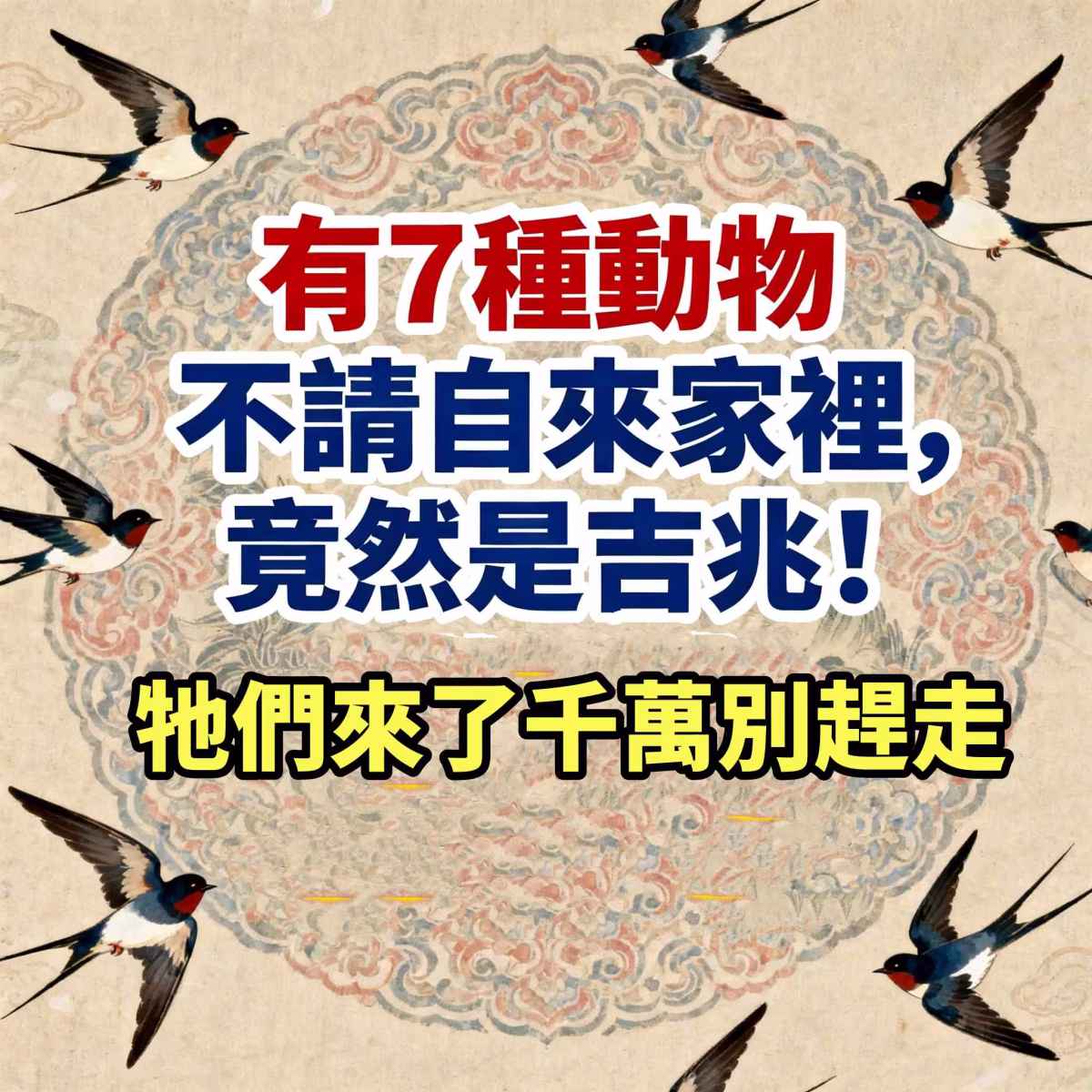 有7種動物不請自來家裡，竟然是吉兆!!!  它們來了千萬別趕走！