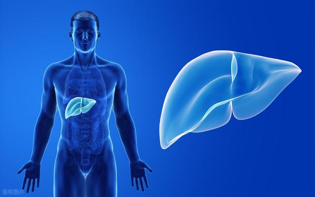 身上的「紅點」為啥越來越多，是肝臟出毛病了？給你嘮嘮紅點是啥