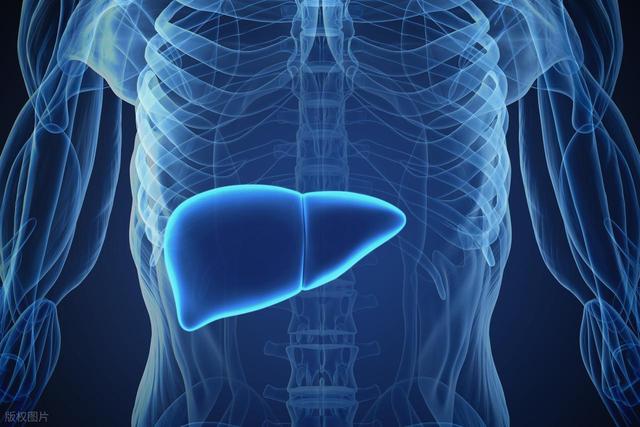 身上的「紅點」為啥越來越多，是肝臟出毛病了？給你嘮嘮紅點是啥