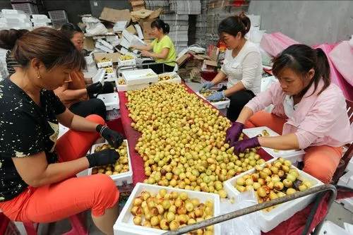 消化科醫師:請老人家停止吃這些水果,吃得更多,癌細胞越旺盛