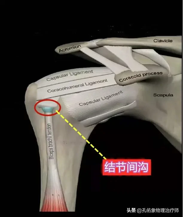 肩膀疼痛是怎麼回事？本文告知您9種病因，讓您再也不盲目諮詢