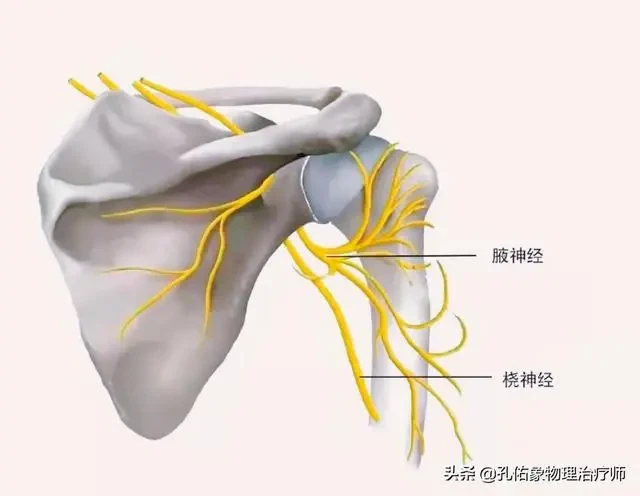 肩膀疼痛是怎麼回事？本文告知您9種病因，讓您再也不盲目諮詢