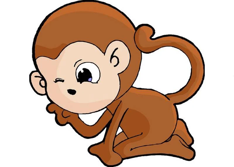 【屬猴人】2024年不得了，家裡有屬猴的人，注意了！