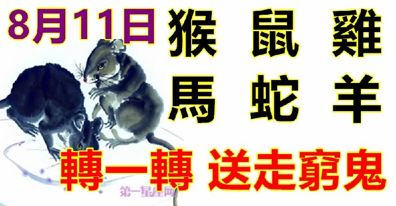 8月11日生肖運勢_猴、鼠、雞大吉