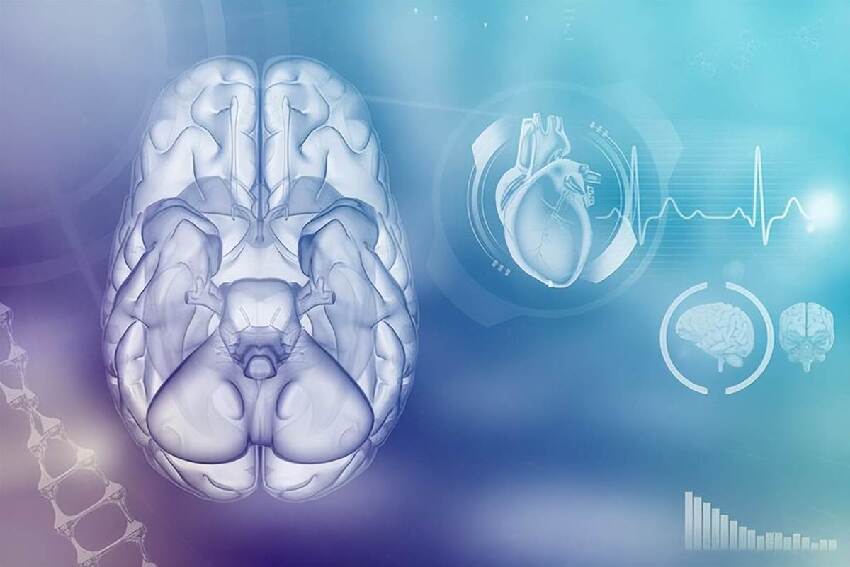 老年癡呆最早信號不是忘事！醫生：頻繁出現這幾個異常，大腦已病變