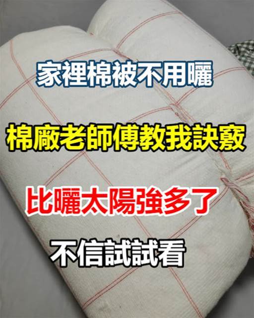 家裡棉被不用曬！棉廠老師傅教我訣竅，比曬太陽強多了，乾淨又衛生，早學會不吃虧