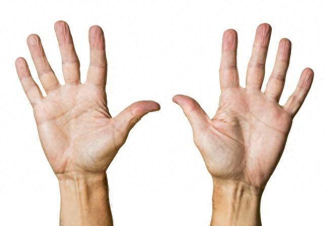 人活多久看手掌就能知？醫生直言：長壽的人，手掌或有這3個特徵