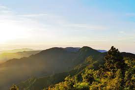 比算命還凖！5月開始「6生肖」順到不能再順「尤其第2名」：錢自動上門