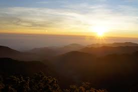 比算命還凖！5月開始「6生肖」順到不能再順「尤其第2名」：錢自動上門