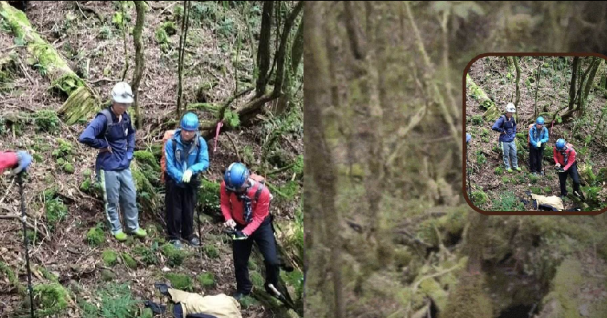 90歲父親跟著兒子爬山，卻被丟在山裡，8年後老夫妻再登山時，山裡突然傳來父親的聲音兩人嚇呆！