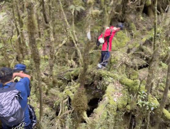 90歲父親跟著兒子爬山，卻被丟在山裡，8年後老夫妻再登山時，山裡突然傳來父親的聲音兩人嚇呆！