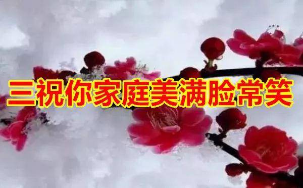 今天「小雪」今天收到的人，請打開！會好運！