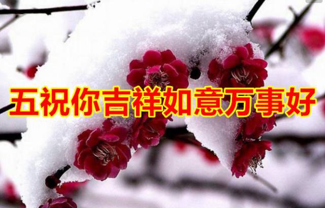 今天「小雪」今天收到的人，請打開！會好運！