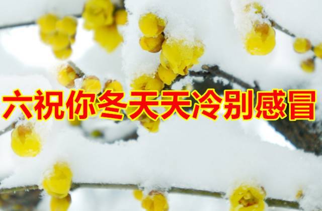 今天「小雪」今天收到的人，請打開！會好運！