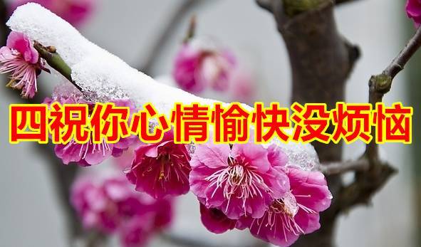 今天「小雪」今天收到的人，請打開！會好運！