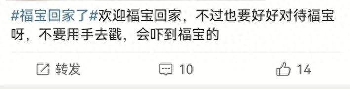 「福寶」疑似被戳引發中韓網友不滿，最新回應來了