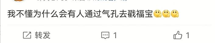 「福寶」疑似被戳引發中韓網友不滿，最新回應來了