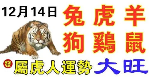 12月14日生肖運勢_兔、虎、羊大吉