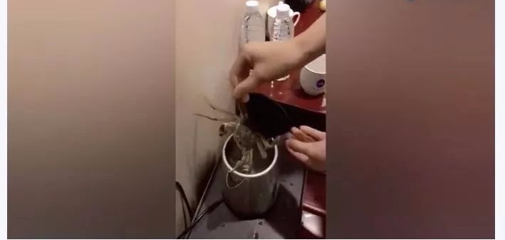 遊客入住飯店時！為什麼要先「拔掉電視機插頭」？　很多人傻傻不知情：早學會不吃虧