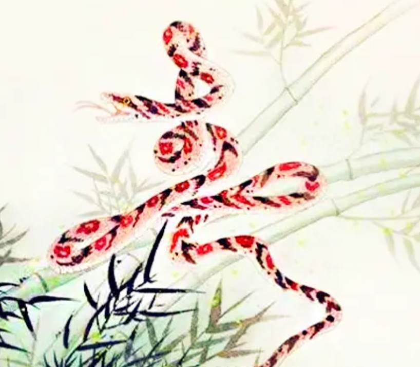 2生肖女，婚前旺父母，婚後旺老公，晚年旺子女