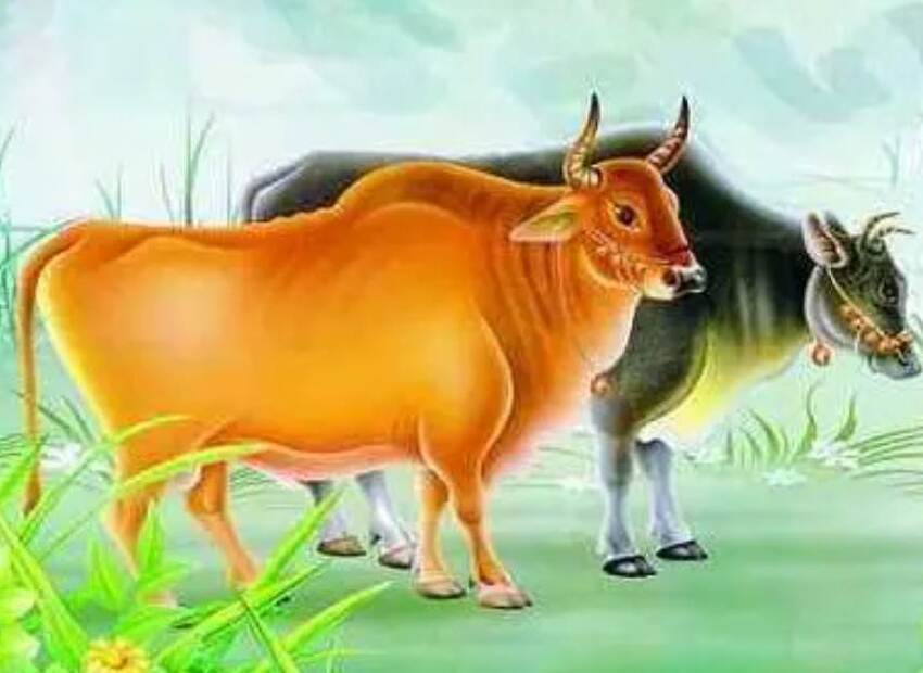 2生肖女，婚前旺父母，婚後旺老公，晚年旺子女