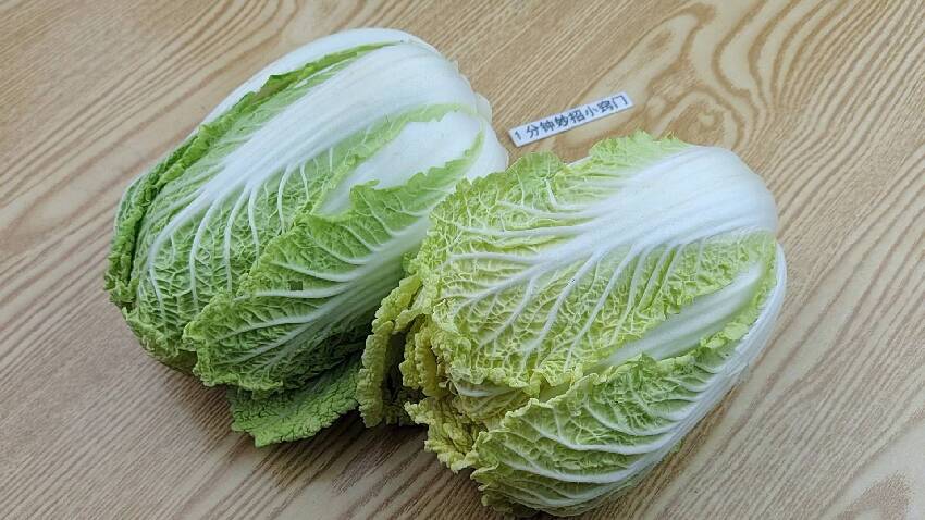 買白菜時，「黃葉」和「綠葉」哪個好！今天終於明白了，別買錯了