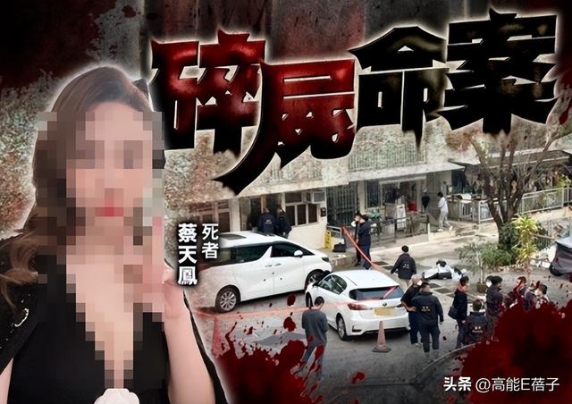 名媛碎屍案三年：蔡天鳳生母涉嫌詐騙，嫌疑人牽出案中案？