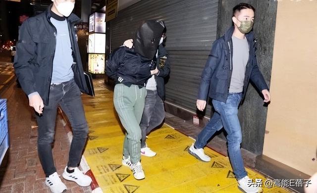 名媛碎屍案三年：蔡天鳳生母涉嫌詐騙，嫌疑人牽出案中案？