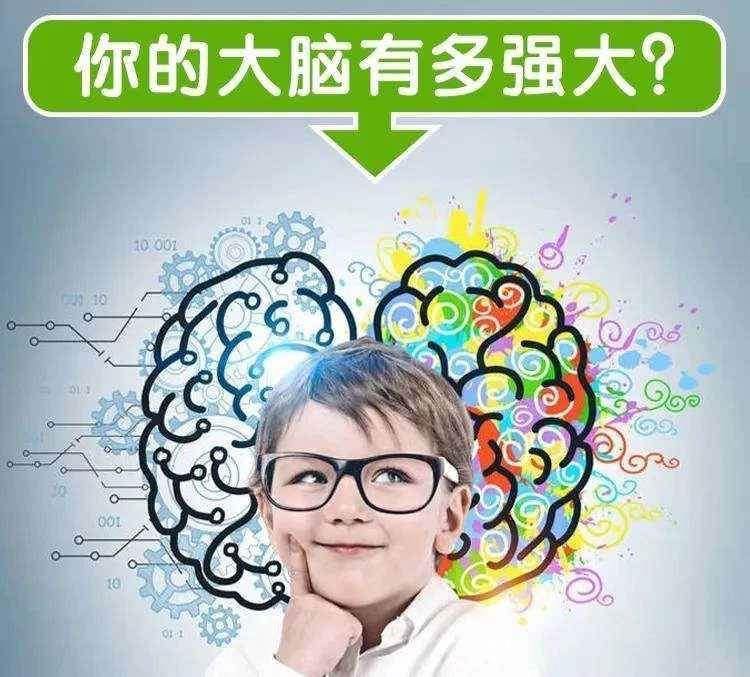 從小培養孩子的「邏輯思維能力」,輕松做學霸,父母要抓住「2個黃金期」