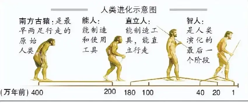 地球本來沒有人類，那在恐龍滅絕之後，第一個人是怎麼出現的？