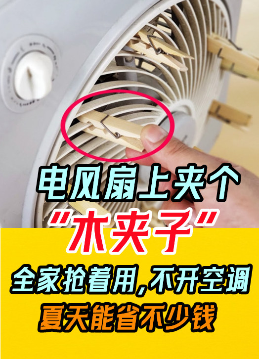 電風扇上夾個「木夾子」，全家搶著用，不開空調，夏天能省不少錢