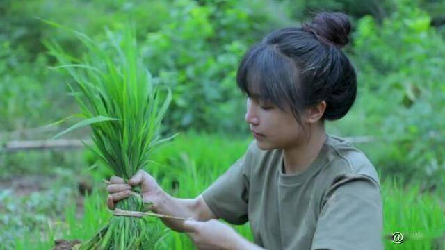 時隔一年4000萬粉絲的李子柒「再度營業」！近照好似換了個人，她到底經歷了什麼