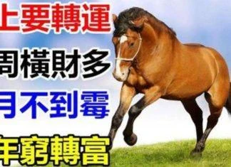 六大生肖馬上要轉運：一周橫財多，一月不倒霉，一年窮轉富