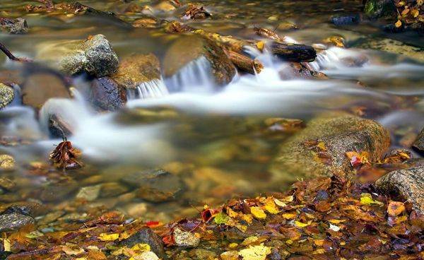 俗語：「女怕午時生、男怕子夜臨」是什麼意思？孩子出生時辰不同，命運差很大