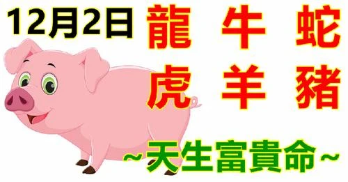 12月2日生肖運勢_龍、牛、蛇大吉