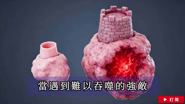 身上出現這種「小肉球」，千萬別亂摳！恐是癌癥前兆！特別是這4個部位！