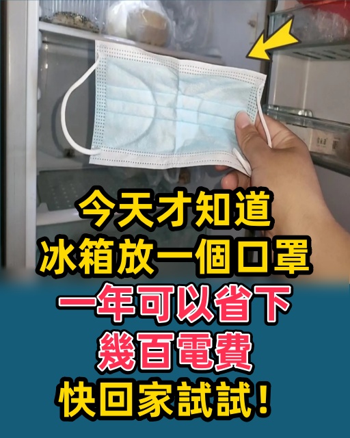 今天才知道冰箱放一個口罩，一年可以省下幾百電費，快回家試試！