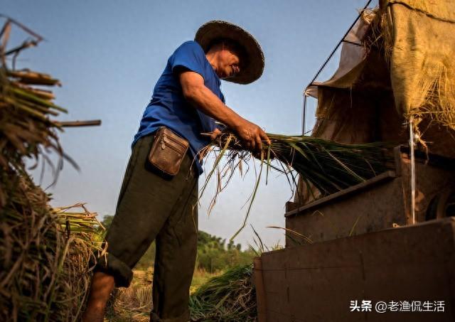 老父買房給兒子夫妻「親家卻不請自來」！他氣喊不買了「結果看清人情冷暖」