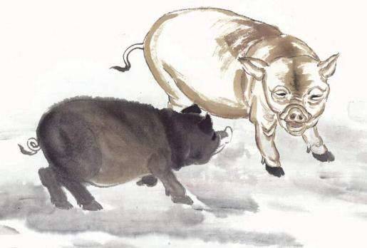 晚年命最好！7大生肖年過50歲後「好運不降反升」越老越富貴