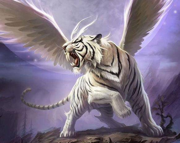 晚年命最好！7大生肖年過50歲後「好運不降反升」越老越富貴