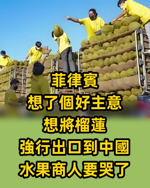 菲律賓想了個好主意，想將榴槤強行出口到中國，水果商人要哭了
