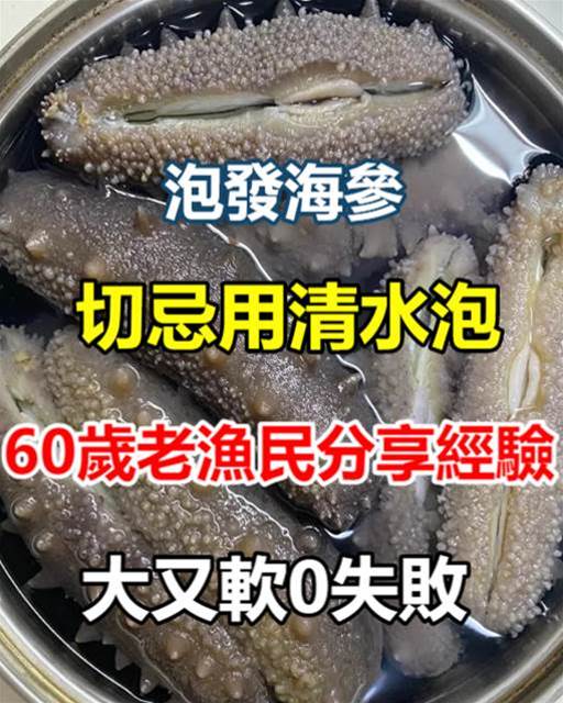 泡發海參，切忌用清水泡，60歲老漁民分享經驗，大又軟0失敗