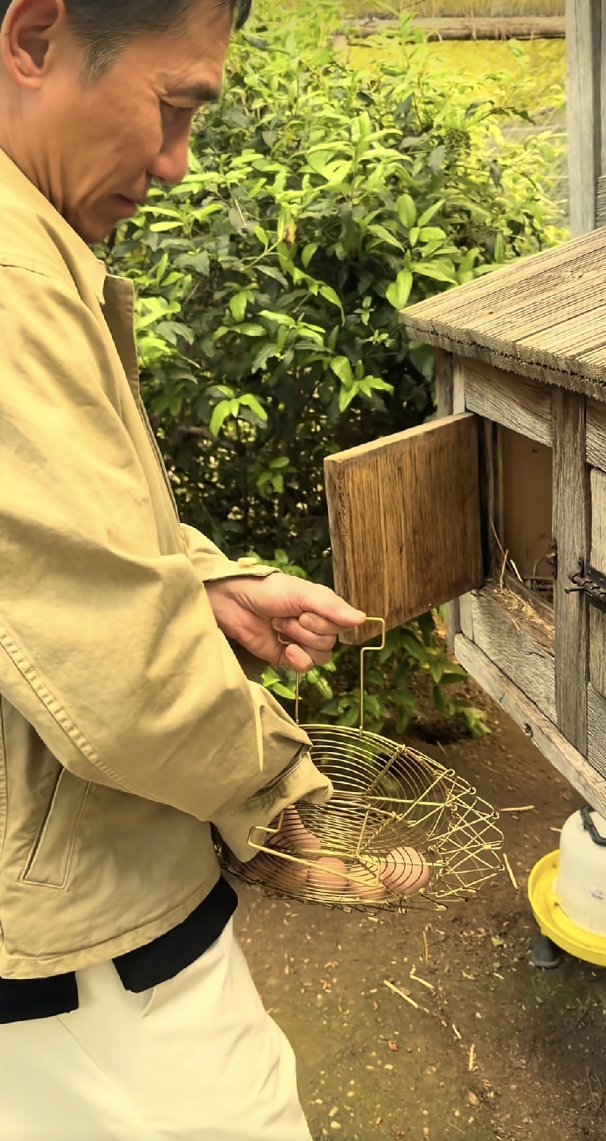 劉嘉玲曬法國生活，梁朝偉在老婆鏡頭下撿雞蛋，兩口子生活好愜意
