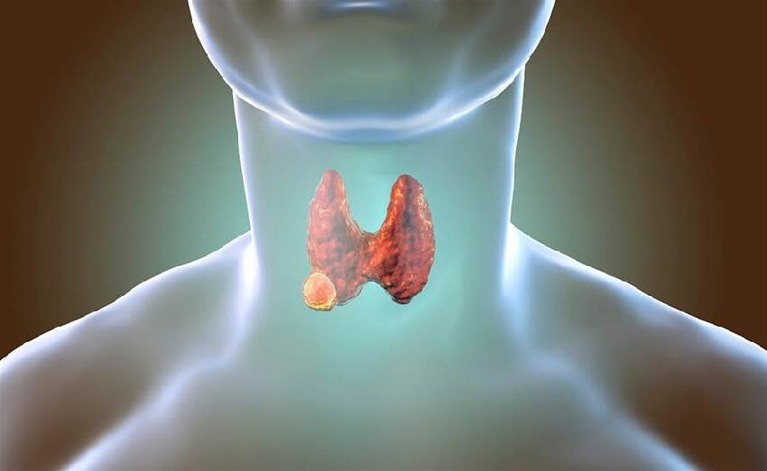 胰臟開始癌變,不是看痛不痛! 醫師:若出現6個症狀或已患癌