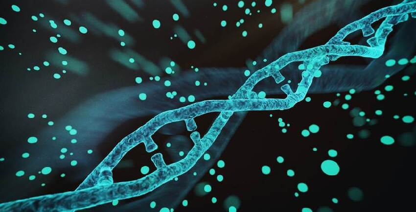 胰臟開始癌變,不是看痛不痛! 醫師:若出現6個症狀或已患癌