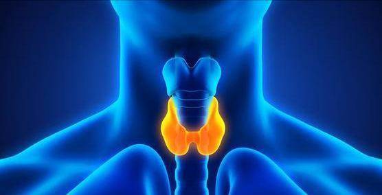 胰臟開始癌變，不是看痛不痛！ 醫師：若出現6個症狀或已患癌