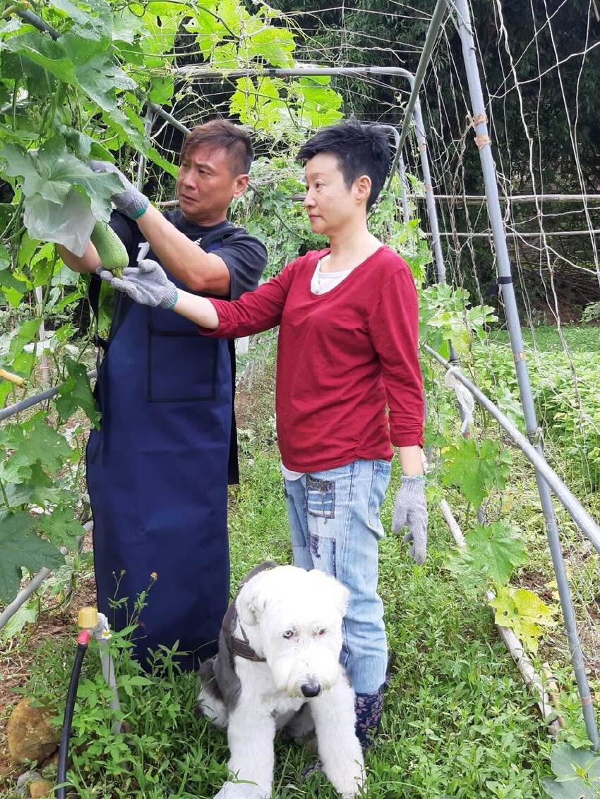 寵妻好男人！57歲資深男星「買900坪地送妻」每天田園種菜　茹素15年「破戒吃葷」悟出真正的佛法