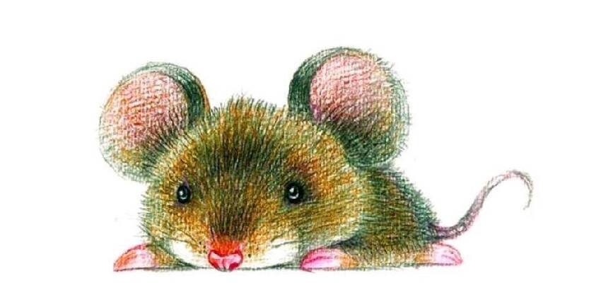 【鼠 牛 虎 兔】一生最吉利顏色，穿對顏色財神爺天天在身邊！